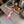 Jimmy 25 Seada 100 Pump Pink Cowhide 240049