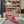 Jimmy 25 Mule Flats Deep Pink Mesh Gauze 240057