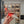 Jimmy 25 Stevie 80 Pumps Red mix White Satin 240061