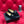 CC Moccasins Black Suede And Lambskin