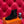 HM Findlay Ankle Boot Black Suede 969360