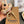 Burberry Thomas Bear Charm 306624