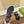 GG Interlocking Sandal Black Canvas & Leather 864287