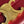 TRIOMPHE 20  BURGUNDY RED CALFSKIN