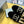 CC 25s Loafers Black Embroidery Velvet Sedge 297817
