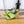 YSL High-Heeled Sandal 5.5cm Olive Leather 932052