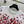 CD Butterfly Lover T-shirt White Red Cotton