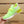 LV V.N.R SNEAKER GREEN