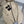Moncler 25 Ski Jacket Polyester