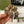 SCRUNCHIE IN BEIGE AND EBONY CANVAS 429353