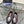 PRA LOAFER IN GLOSSY CHOCOLATE BROWN CALFSKIN