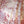 SCARF 140 IN ROSE PINK SILK