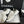 CC 25A Trainers Light Gold Black Cream Laminated Calfskin And Suede Calfskin 352120