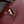 CAPUCINES MINI 21 BURGUNDY TAURILLON GOLD HARDWARE