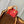 speedy p9 bandouliere 18cm red calfskin