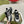 GG RIPPLE TRAINER LIGHT SILVER AND BLACK LAMBSKIN