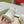 GG RIPPLE TRAINER WHITE LAMBSKIN