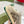 GG Sneaker Beige Suede Green Calfskin Crystal-Embellished