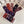 CREW SOCKS 410989 ( 1 BOX )