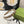 HAIRBAND IN BEIGE AND EBONY CANVAS 432816