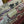 medium dioriviera 36 pink beige tiger embroidery canvas