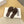Loewe Petal Anagram Rhinestone Slides Coffee Leather 723130