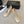 CC 26s Square Toe Pump Beige Sheepskin 835680