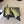 CC 26ss Ballet Flat Black Olive Lambskin 835694