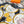 Legende Brodee Scarf 90 CM In Black Colorful Silk Twill 208578