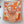 Flores Del Este Scarf 90 CM Orange Colorful Silk Twill 310312