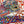 Le Jaguar Et Le Colibri Shawl 135 CM Red Colorful Cashmere And Silk  357904