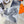 SCARF 180 CM IN SHARK GREY MIX WHITE CASHMERE