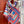 Fantaisie d'Etriers Shawl 135 CM Pink Colorful Cashmere And Silk 402082