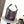 Loewe Hammock Bag 15 cm Chocolate Calfskin
