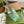GG MARMONT 24 SMALL MATELASSÉ SHOULDER BAG GREEN IRIDESCENT CALFSKIN