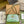 GG MARMONT 24 SMALL MATELASSÉ SHOULDER BAG GREEN IRIDESCENT CALFSKIN