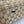 GG Tag Medium Crossbody Bag Beige Canvas