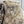 GG Tag Medium Crossbody Bag Beige Canvas