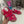 CC 26s Strappy Sandals In Pink Velvet With Rope Sole Gold Hardware