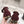CC Mary Jane Burgundy Suede And Cowhide