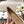 cc 25c ballet flat cross line pattern beige lambskin 237484
