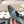 cc 25c slingback 55mm cross line pattern light blue denim 237487