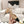 cc 25c slingback 55mm cross line pattern beige lambskin 237495