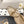 cc 25p mary jane beige lambskin black pattern 237516