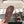 CC 25 Dad Sandal Mule Deep Brown Patent Leather 237578