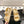 CC 25 Dad Deals Sandals Yellow Pastel Patent Leather 237589