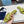 PRA SAFFIANO PATENT SLIDES OSTRICH MOTIF PEAR CALFSKIN