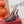 GG 26s Slingback Pump 10.5cm With Horsebit Coffee Leather Canvas 901311