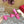 High Heel 70 Mule Sandal The Bold Edition Vlogo Square Toe Pink