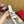 Mule Sandal The Bold Edition Vlogo Square Toe 20mm Silver